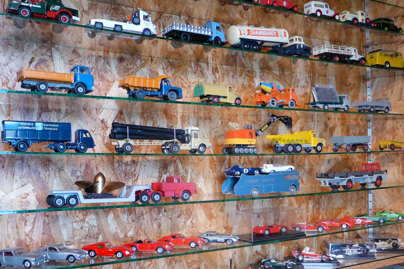 Meise (© Gerhard Schütz)